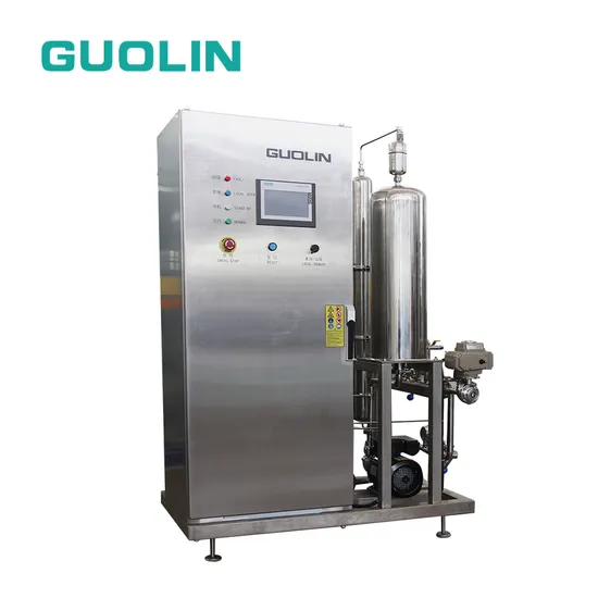 Factory Easy to Install Water Sterilizer Disinfector Ozone Generator for Drinking Water